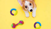 Dog Toys